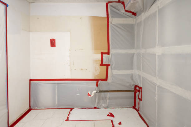 Mold Documentation for Insurance Claims in Williston, ND