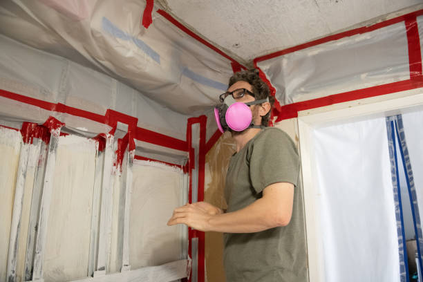 Mold Odor Removal Services